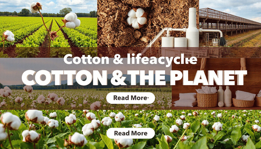 Cotton Lifecycle Analysis