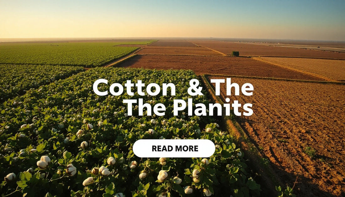 How Cotton Affects the Environment