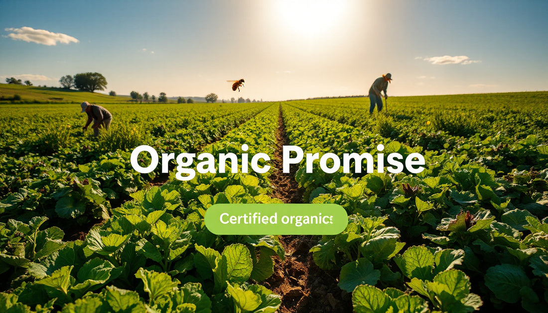Why Certified Organic Is the Gold Standard
