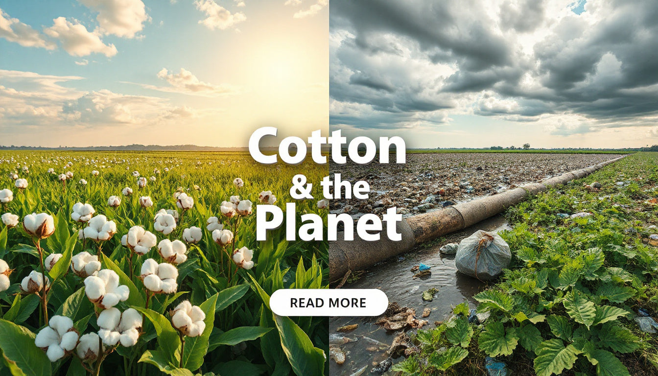 Cotton’s Environmental Pros and Cons
