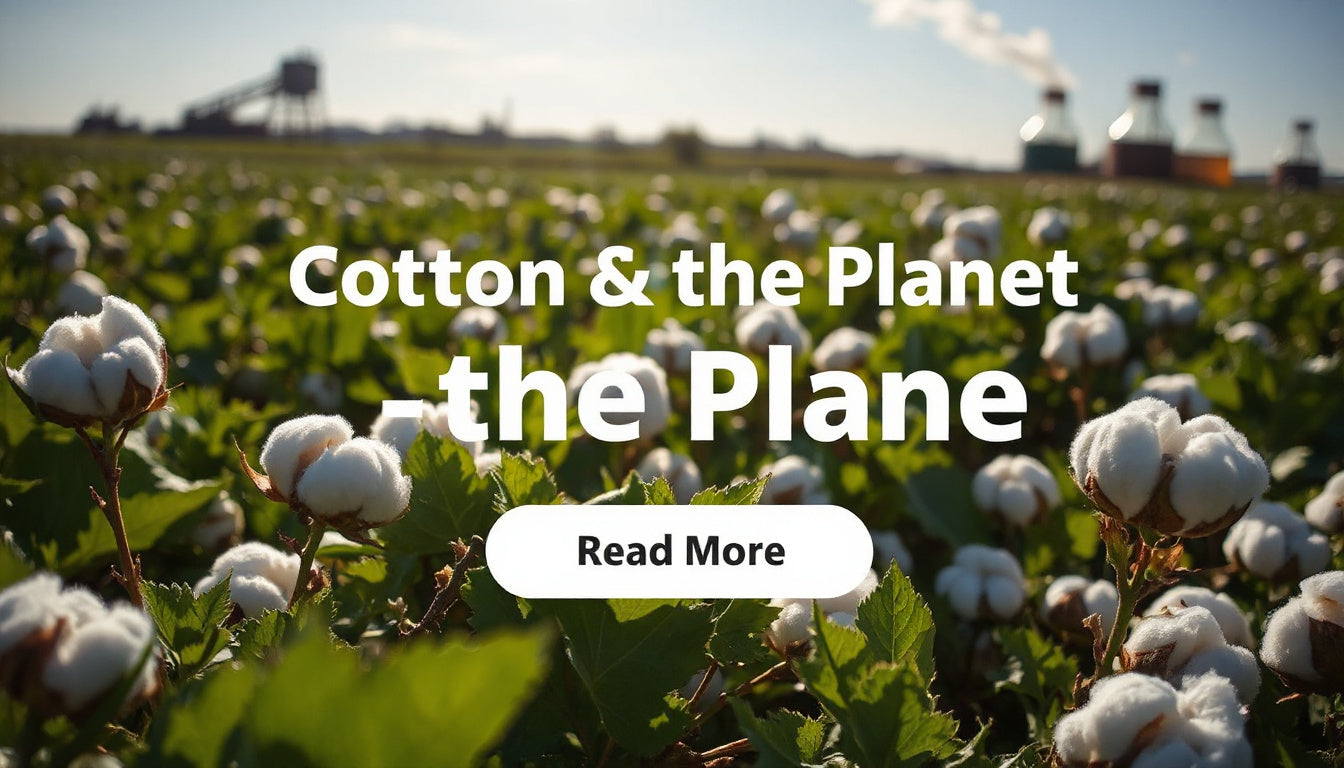 Does Cotton Use Harmful Chemicals?