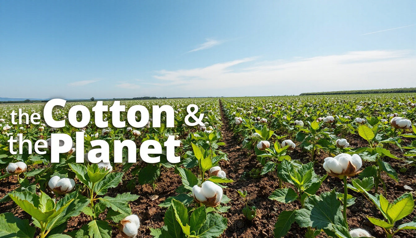 Cotton’s Role in Regenerative Agriculture