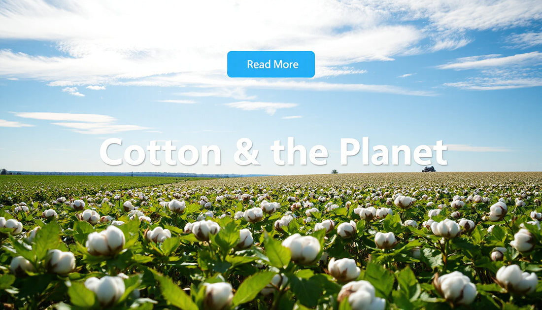 Can Cotton Be Made Greener?