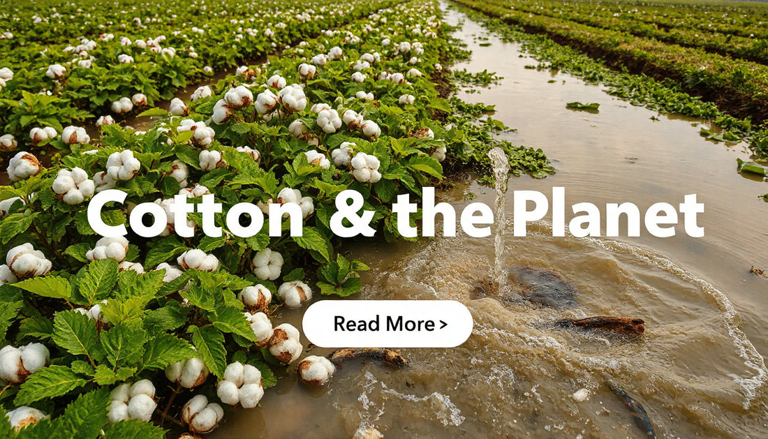 Water Pollution from Cotton Farming