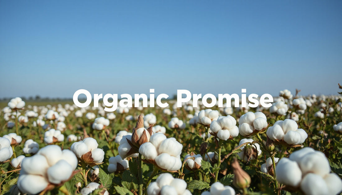 How We Keep Our Cotton Organic After Harvest