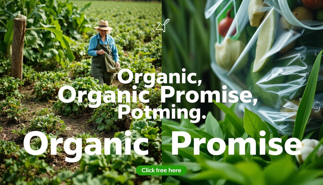 Organic Promise vs Greenwashing: Know the Difference