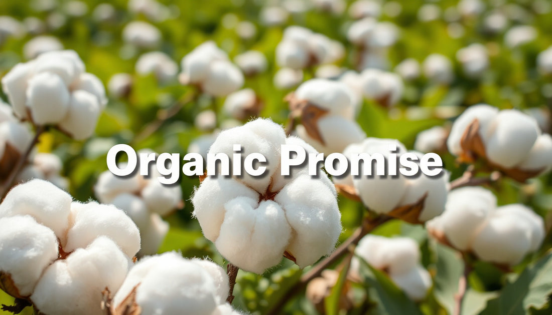 Why Organic Cotton Feels Different