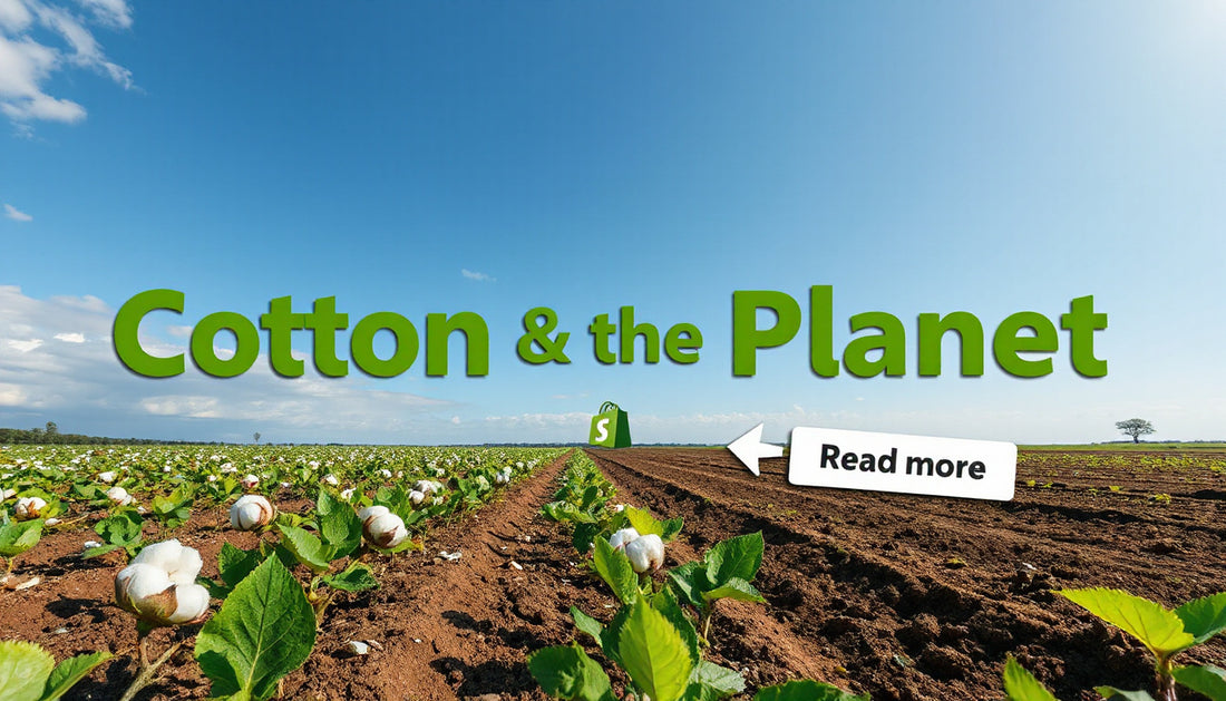 How Cotton Impacts Soil Health
