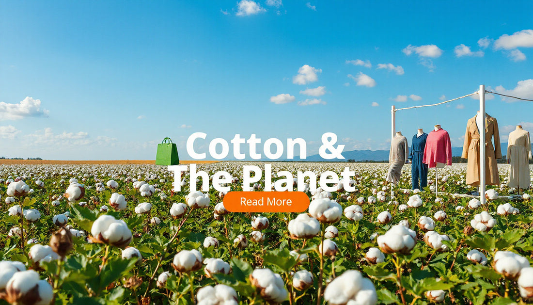 Cotton’s Impact on the Fashion Supply Chain