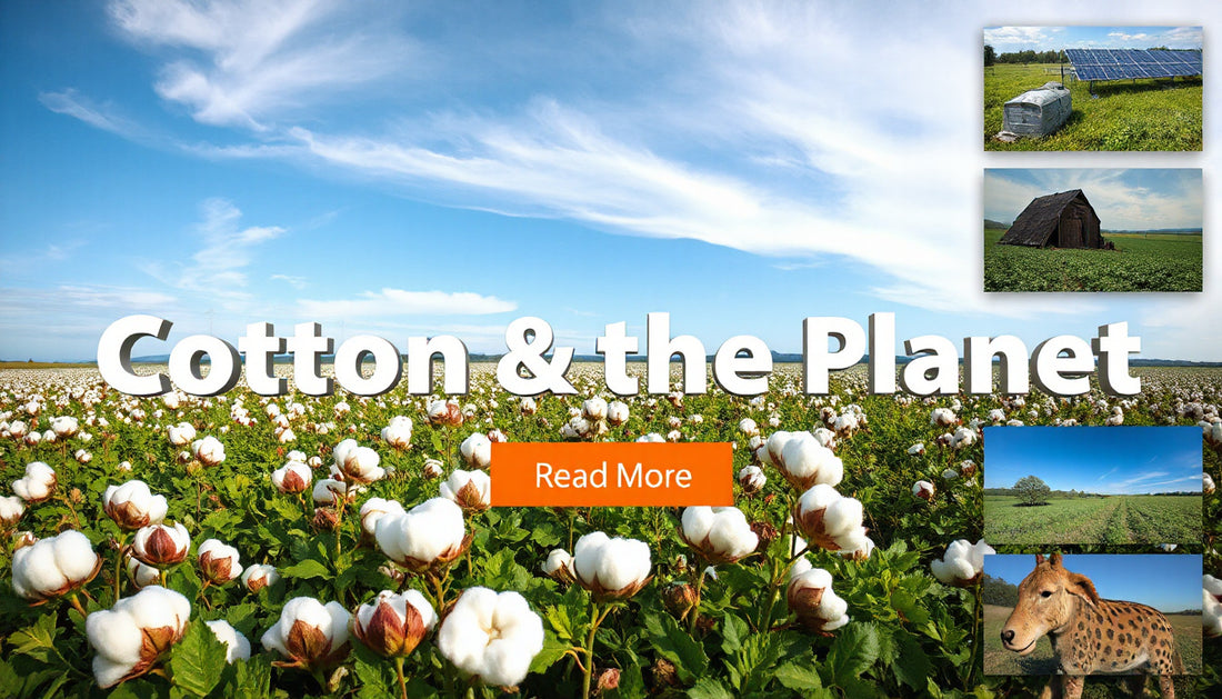 Is Cotton a Sustainable Fabric?