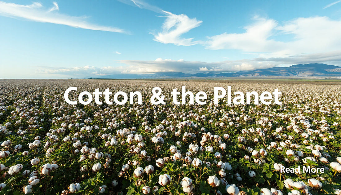 Carbon Emissions of Cotton Fields