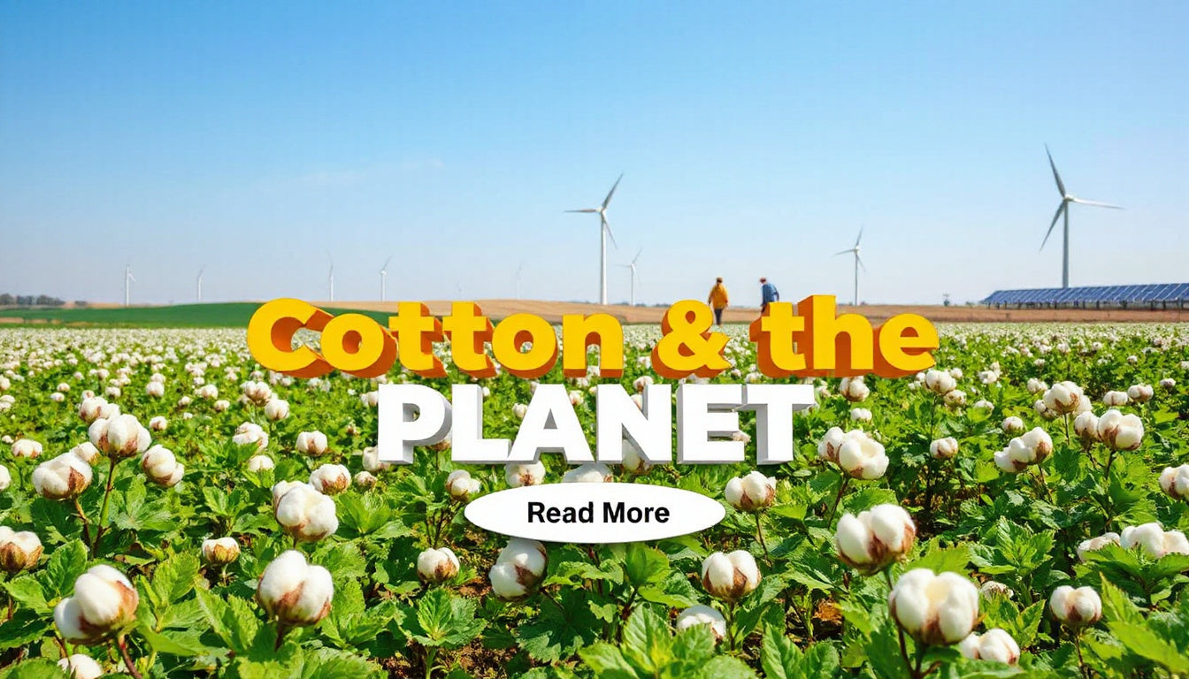 Is Cotton Sustainable for the Future?
