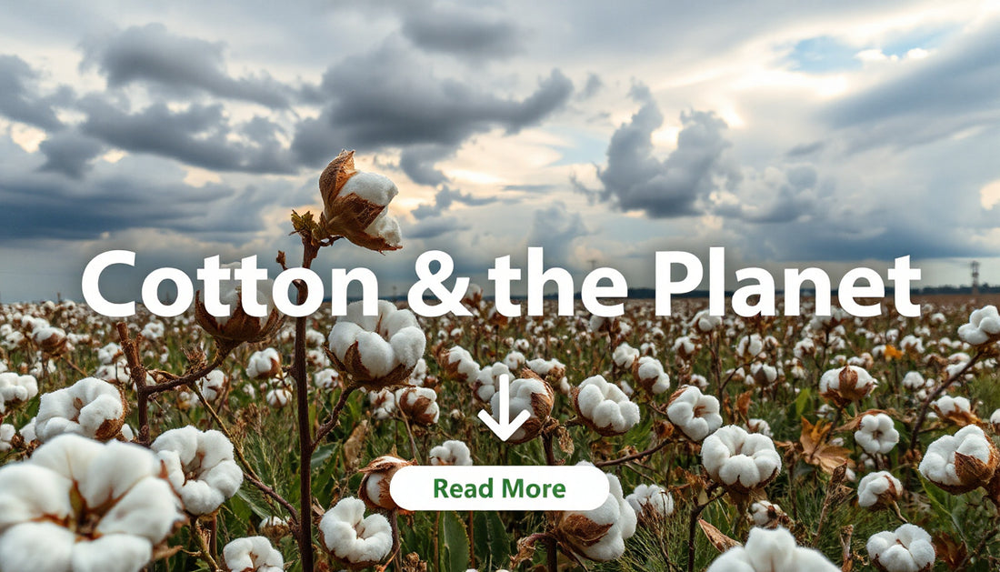 Cotton and Microplastics: Is There a Link?