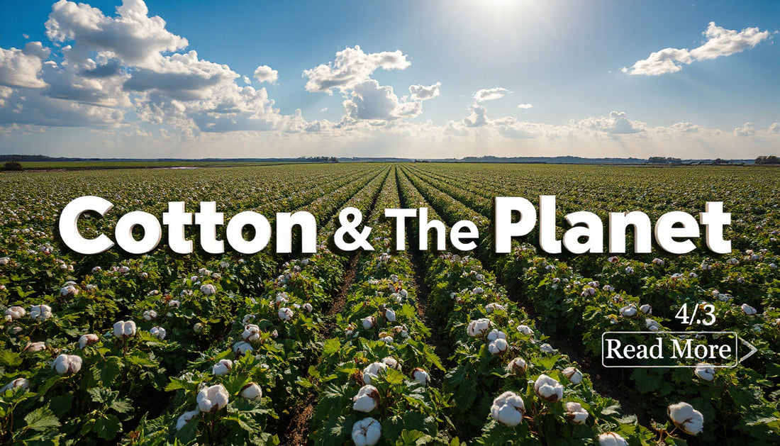 How Ethical Is Cotton Production?