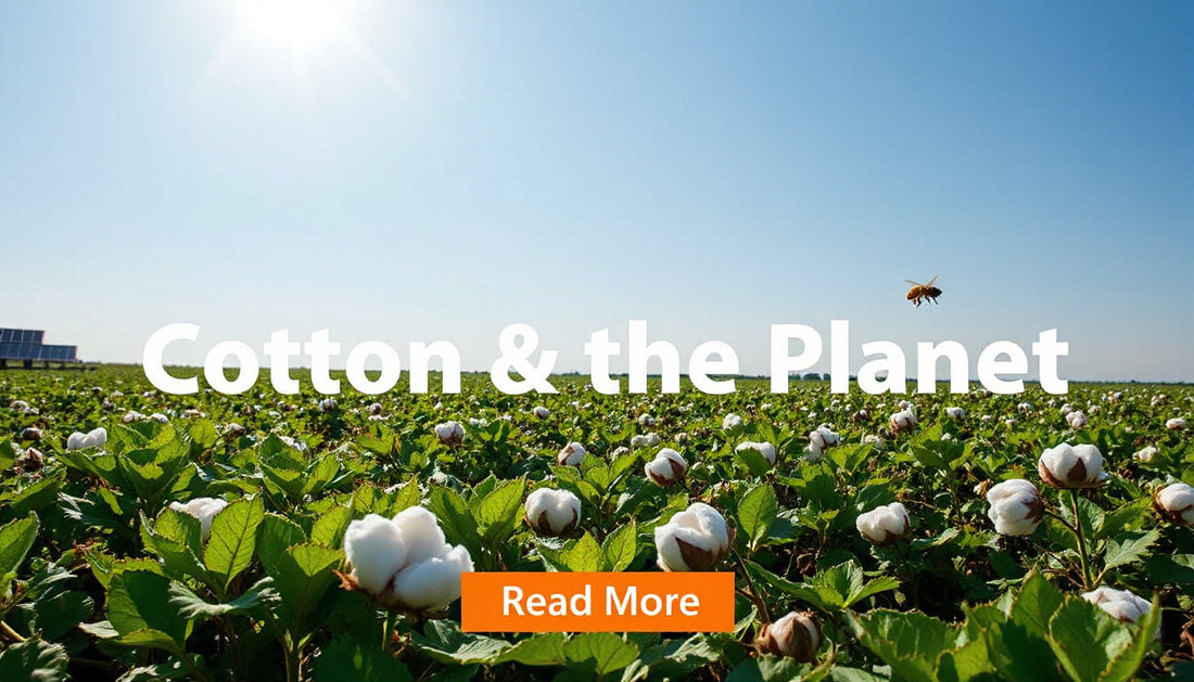 Climate-Friendly Cotton Choices