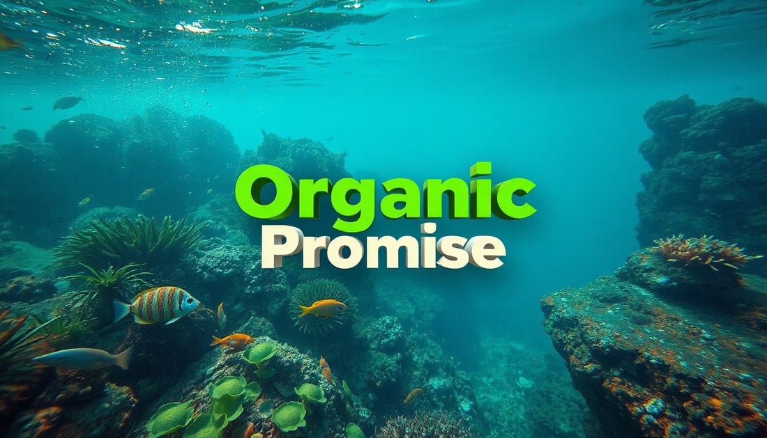Why Organic Helps Keep Oceans Cleaner