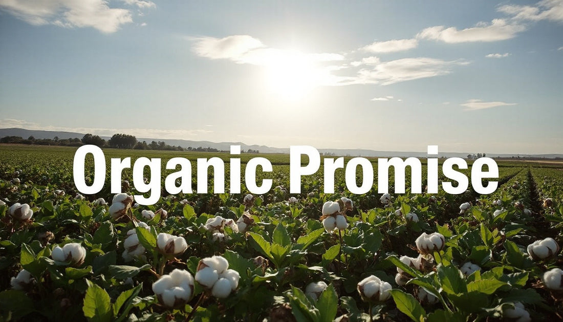 How Organic Cotton Is Grown Sustainably
