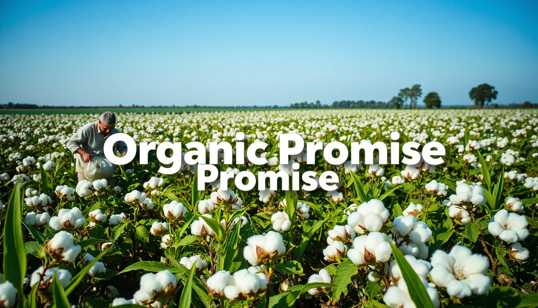 Cotton Farming the Organic Way