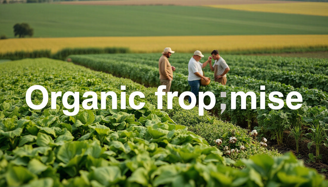 How We Audit Our Organic Supply Chain