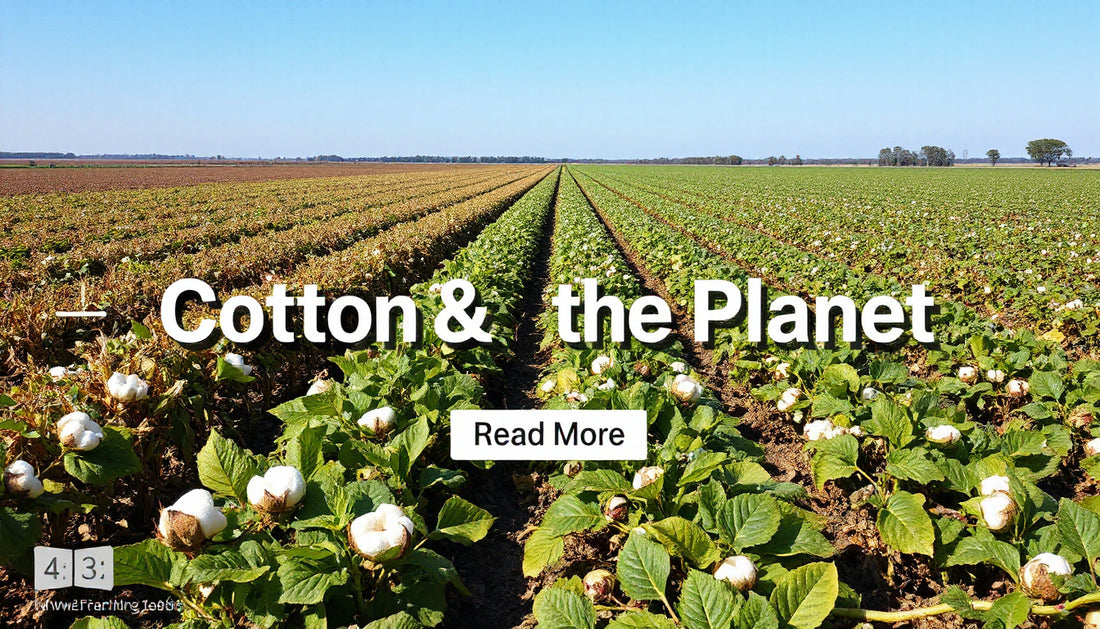 Cotton Crop Rotation and Sustainability