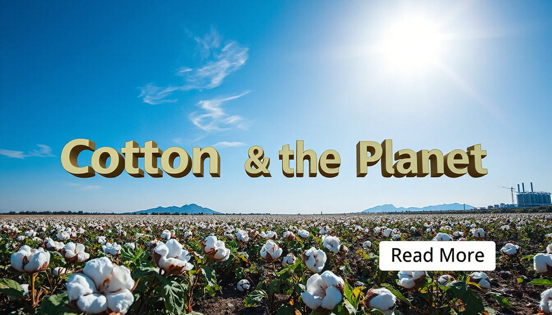Environmental Cost of Cotton Explained