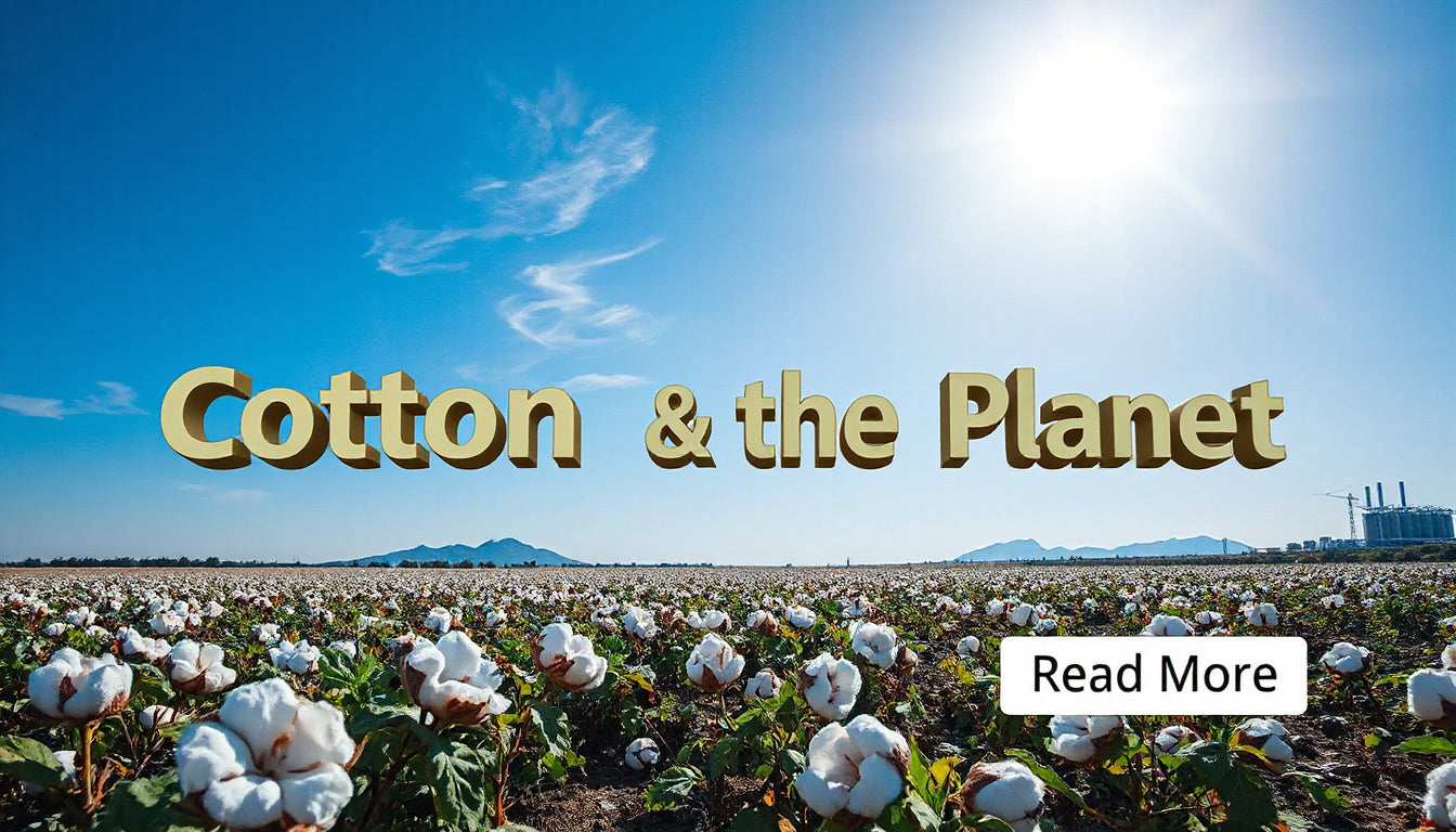 Environmental Cost of Cotton Explained