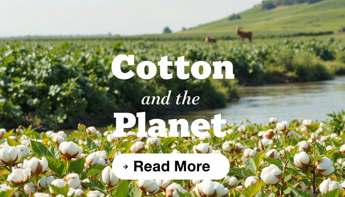 Reducing Cotton’s Environmental Damage
