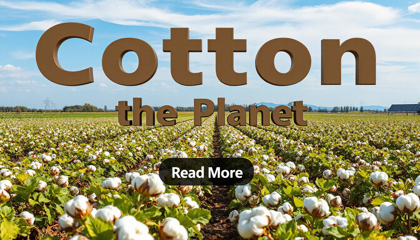 The Future of Sustainable Cotton