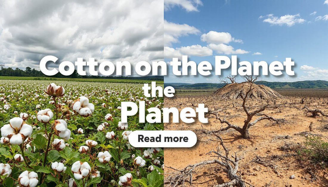 Cotton’s Role in Biodiversity Loss