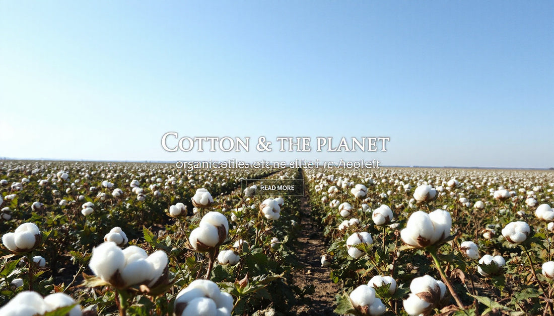 Cotton Transparency and Traceability