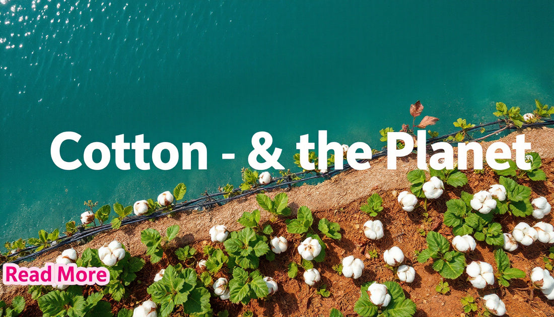 Cotton’s Impact on Freshwater Use