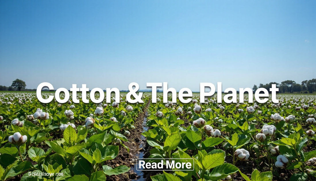 Understanding Cotton’s Footprint