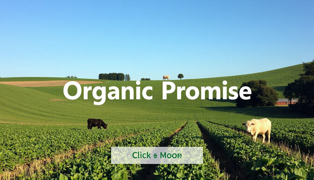 Why Our Organic Promise Aligns with E-E-A-T