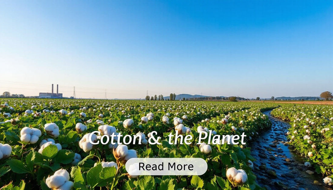 Top FAQs About the Environmental Impact of Cotton