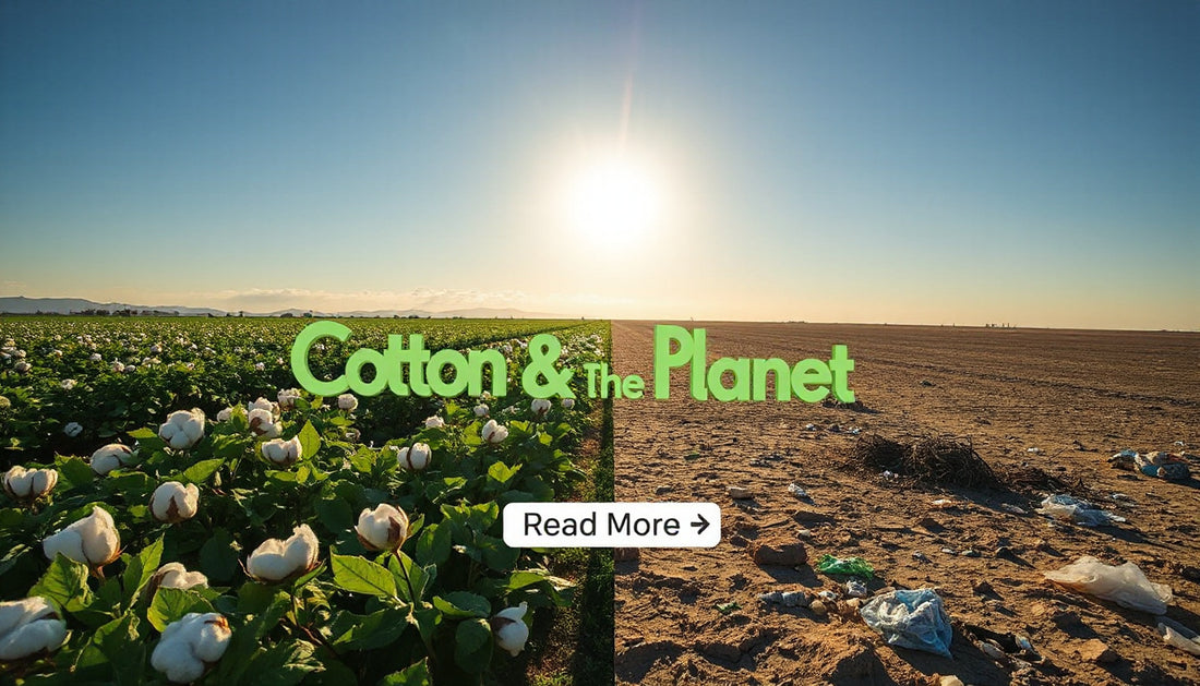 Does Cotton Harm the Planet?