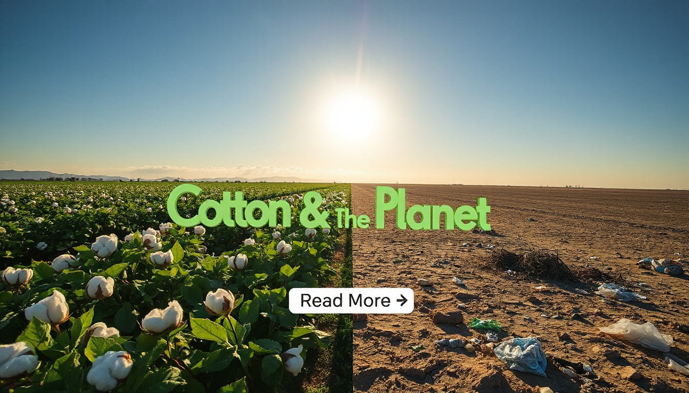 Does Cotton Harm the Planet?