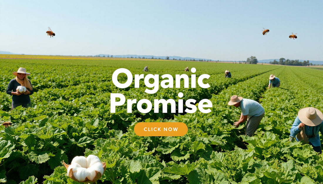 Why Organic Isn’t Just a Buzzword Here