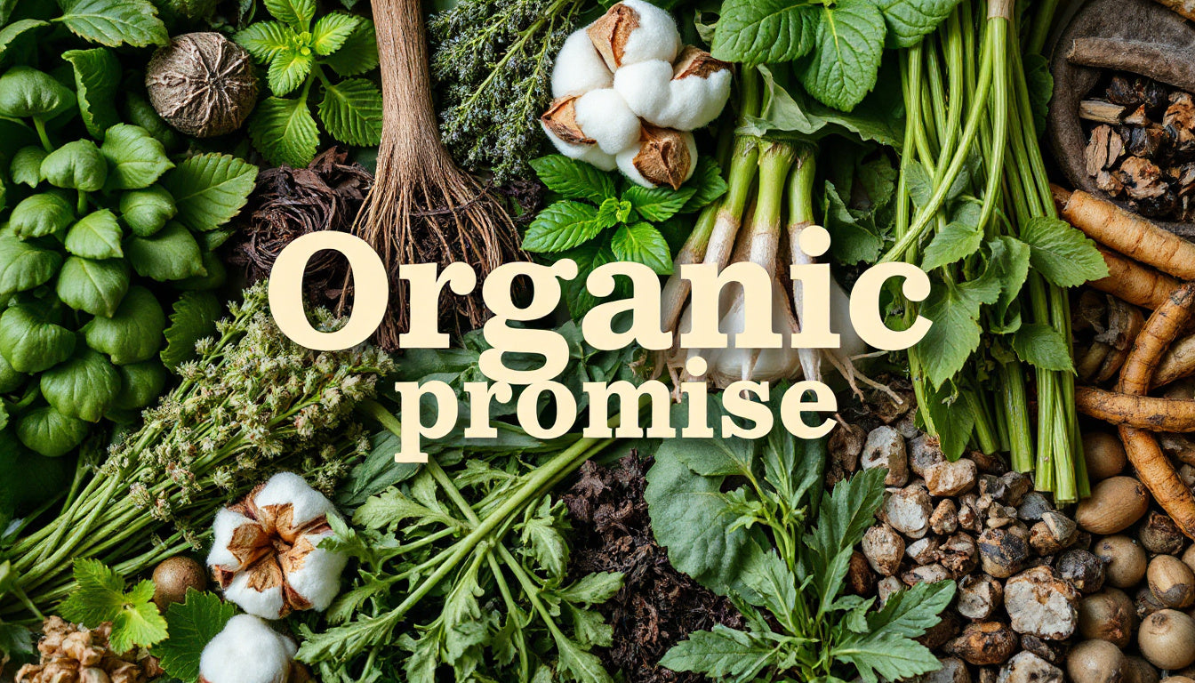 What Sets Our Organic Collections Apart