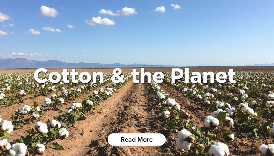 Cotton Farming in Water-Scarce Regions