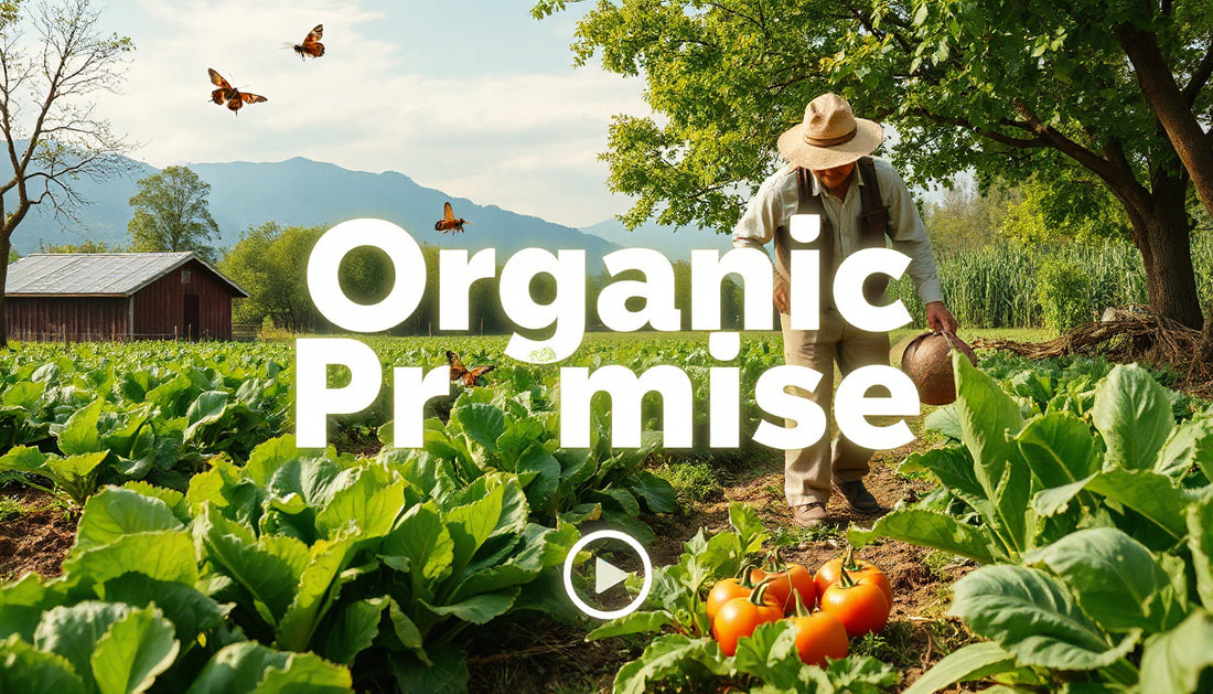 What Our Organic Promise Means for You