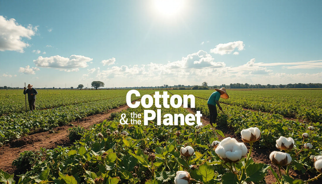 How Cotton Impacts Agriculture