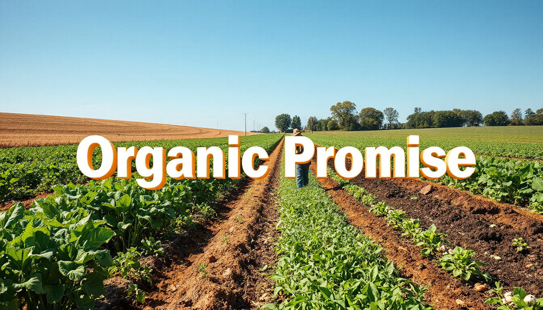 What It Takes to Maintain Organic Certifications
