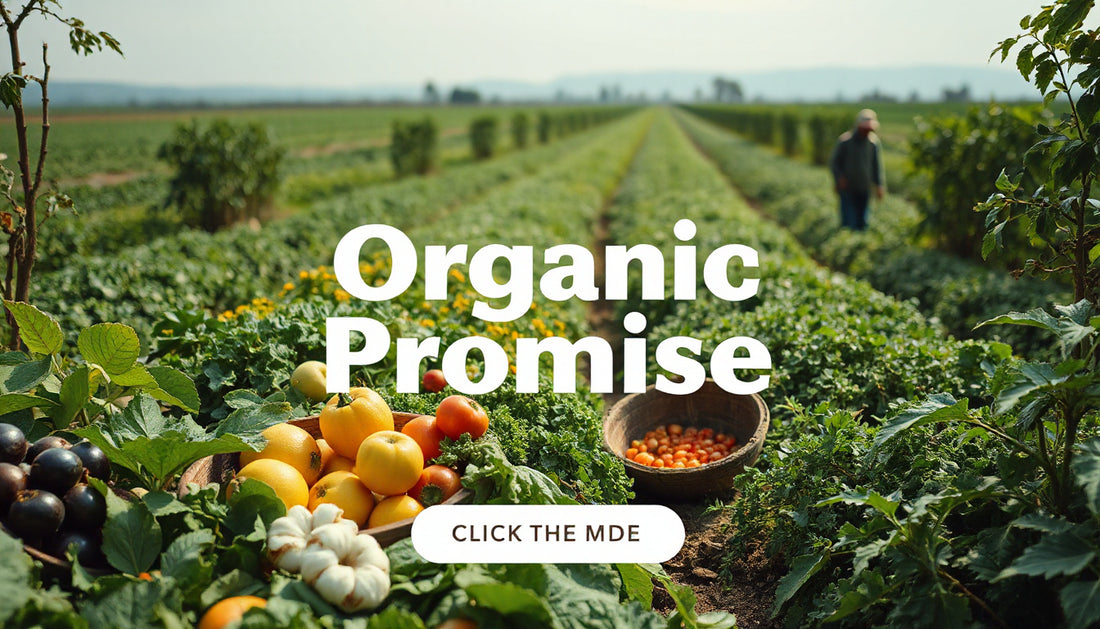 What Organic Labels Mean for You