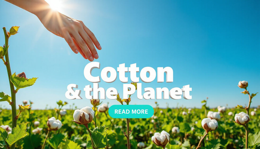 Why Cotton Sustainability Matters