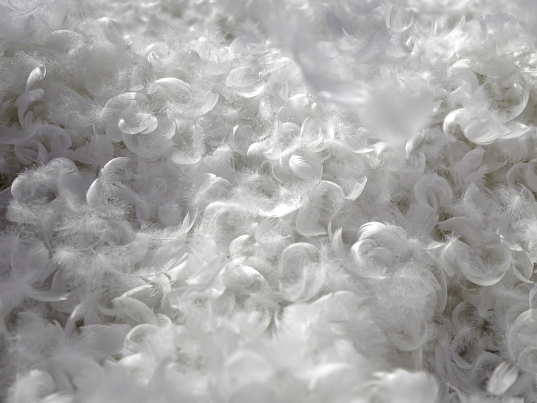 a close up of a bunch of white bubbles