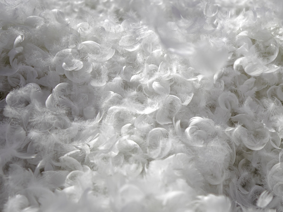 a close up of a bunch of white bubbles