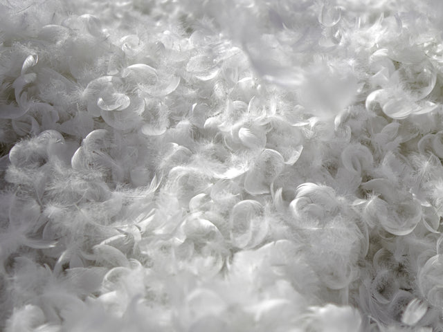 a close up of a bunch of white bubbles