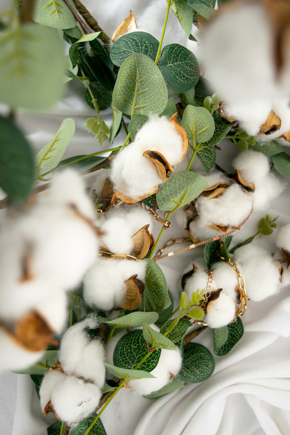 a close up of white flowers