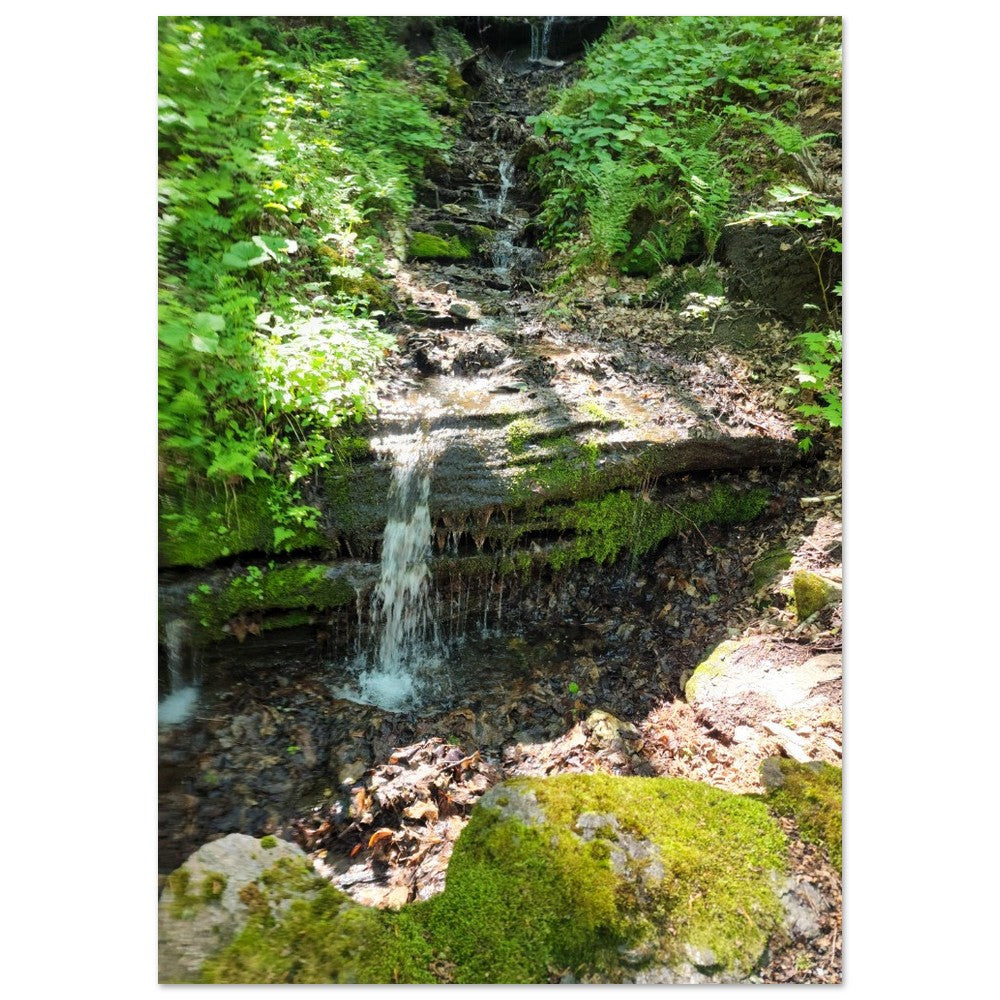 A calming waterfall cascading through a lush forest, captured in vivid detail. Ideal for nature lovers seeking a tranquil and elegant wall art addition.