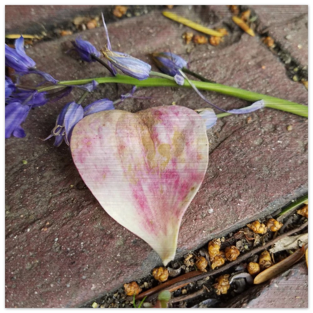 Intricate heart-shaped leaf design printed on brushed aluminum, showcasing natural elegance with a modern metallic finish. Perfect for sophisticated nature-inspired decor.